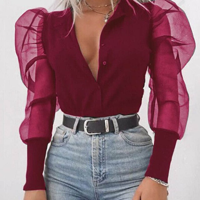 Lady Embroidery Lantern Sheer Mesh Sleeve Blouse