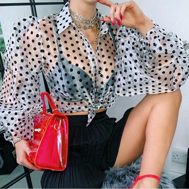 Lady Embroidery Lantern Sheer Mesh Sleeve Blouse